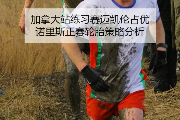 加拿大站练习赛迈凯伦占优 诺里斯正赛轮胎策略分析